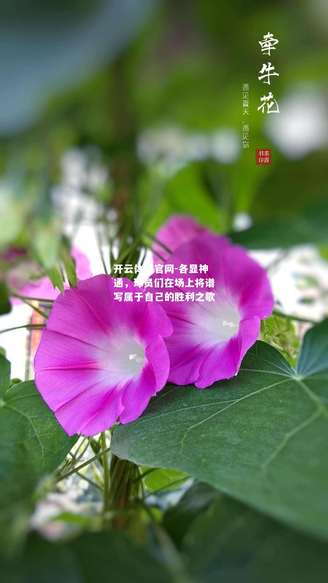 各显神通，球员们在场上将谱写属于自己的胜利之歌