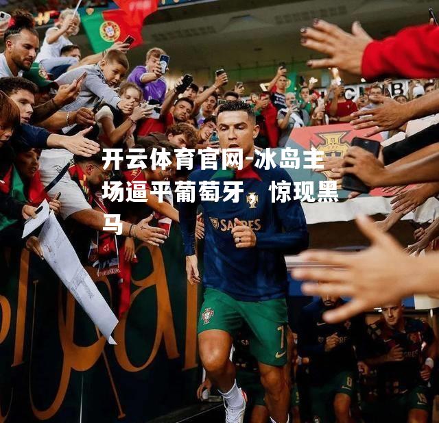 冰岛主场逼平葡萄牙，惊现黑马